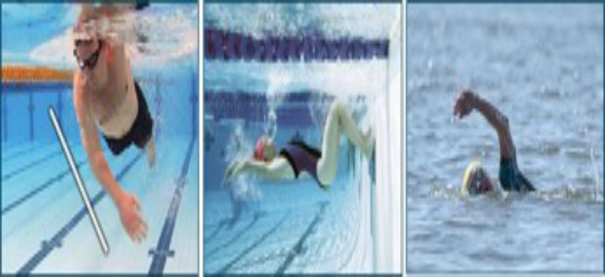 You are currently viewing CLPT Swim Stroke Analysis & Correction Clinic
